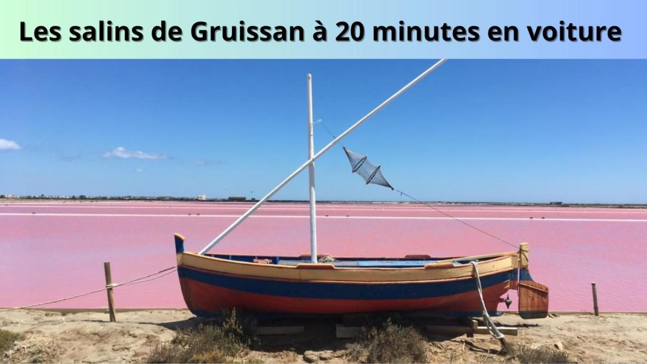 Le Cosy Lejlighed Narbonne Eksteriør billede